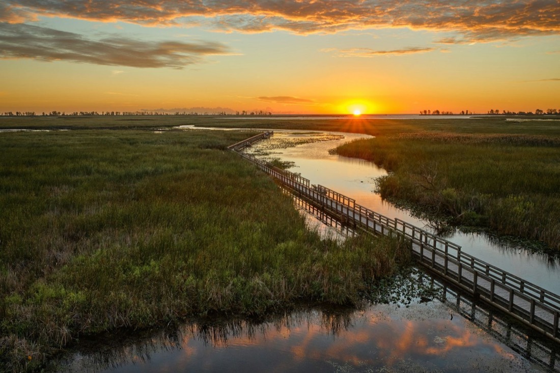 A boardwalk through coastal reeds at dusk, used as sample project material.